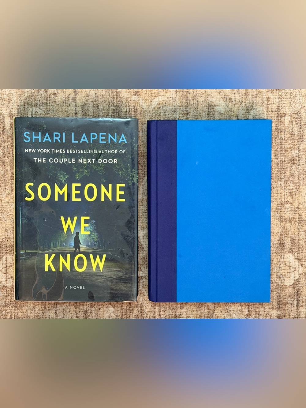 Someone We Know & What Have You Done? Books by Shari Lapena 📚